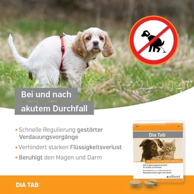 Alfavet Dia Tab PRO, Diät-Ergänzungsfuttermittel für Hunde und Katzen, Kautablette gegen Durchfall, 20 x 5,5g in praktischer Dose – Bild 3