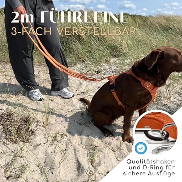 FREUDENTIER Hundeleine Model Clyde, 2m verstellbar, weich gepolstert, robust für mittelgroße & große Hunde, orange, 25mm Breite – Bild 2