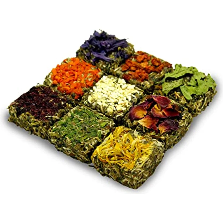 JR FARM Grainless Nager-Pralinen, getreidefreies Kleintierfutter mit natürlichen Vitaminen und Kräutern, 125 g – Bild 2