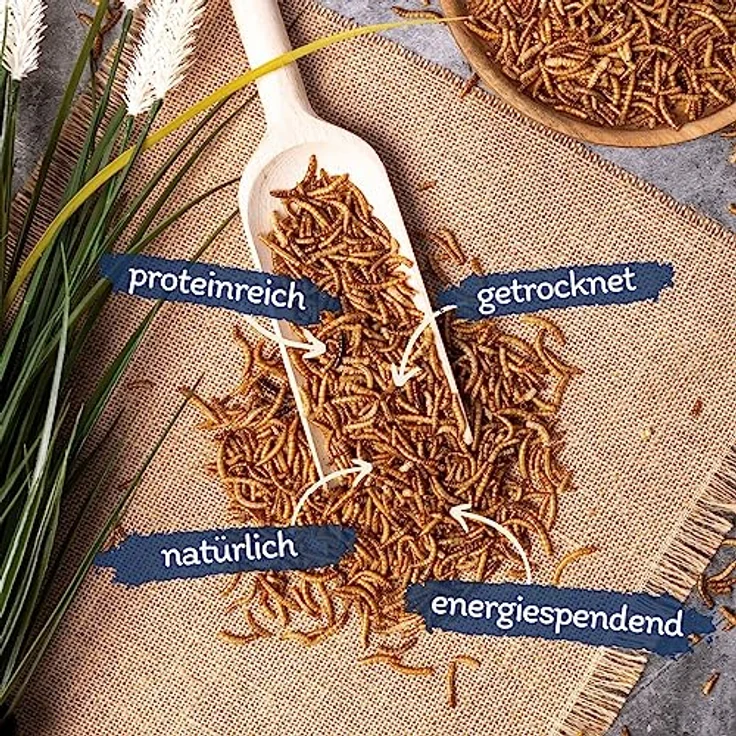 Lyra Pet® Mehlwürmer getrocknet, 10 kg proteinreiches Vogelfutter für Wildvögel, Nager, Reptilien & Fische, nahrhaft mit Vitaminen & Mineralstoffen – Bild 2