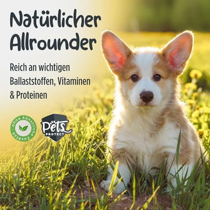 Pets Protect Bio-KOKOSHAPPEN 300 g | Natürliche, getreidefreie Leckerlis für Hund & Pferd | Vegan & ohne künstliche Zusätze | Bio-Qualität aus Deutschland – Bild 5