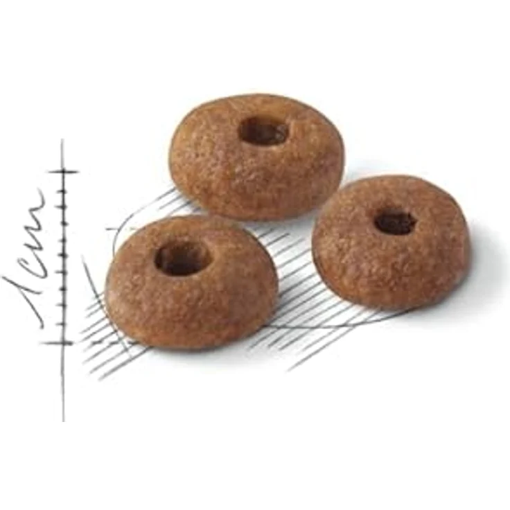 Royal Canin Regular Fit 32, Katzenfutter für ausgewachsene Katzen, 2 kg, unterstützt gesunde Körperhaltung und reduzierte Haarballenbildung – Bild 3