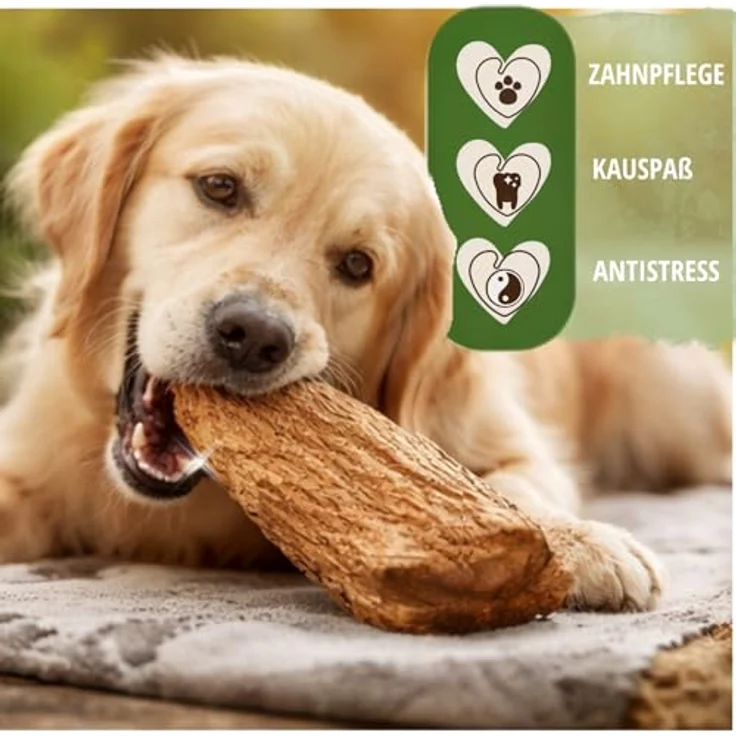 PetLove Kauwurzel für Hunde aus Baumheide, hypoallergenes Kauspielzeug, L (450-699g) ohne Zusätze und Chemie, für große Hunde – Bild 3