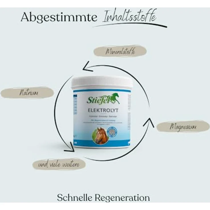 Stiefel Elektrolyt für Pferde, hochkonzentrierte Elektrolyte zur Regeneration bei Hitze und Anstrengung, mit Magnesium, 1kg – Bild 2