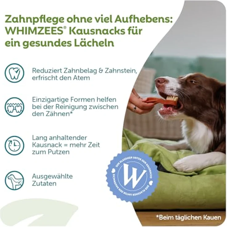 Whimzees Snack Toothbrush, Hundesnack zur Belohnung und für Training, 360g (6x60g) – Bild 3