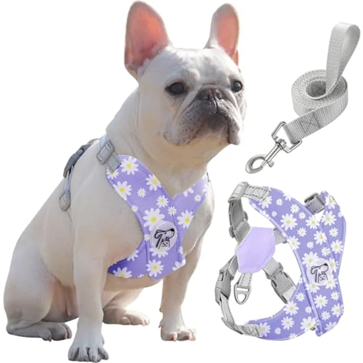 Pawaboo X-Rahmen Hundegeschirr mit Leine Set, Verstellbares Anti Zug Anti-Erstickung Brustgeschirr für Kleine und Mittelgroße Hunde, Violette Gänseblume, Größe L – Bild 1