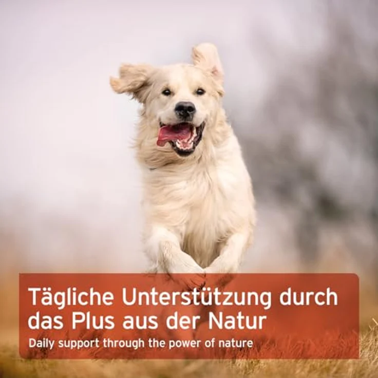 AniForte Hagebuttenpulver 500 g, 100% natürliche Ergänzung für Hunde und Katzen zur Unterstützung von Gelenkfunktion und Immunsystem – Bild 6