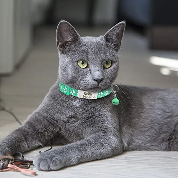 Senristar Personalisierte 2 Pack Reflektierende Katze Halsband, Breakaway mit Edelstahl-Namensschild und Glocke, Schwarz und Silber, Verstellbar für Katzen von 20cm-28cm – Bild 5