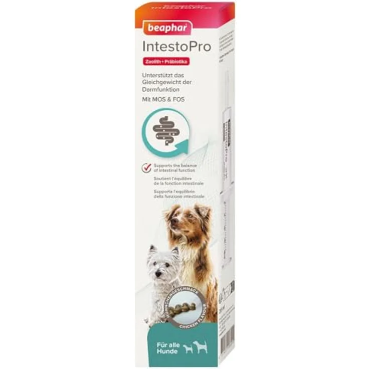 Beaphar IntestoPro Paste für Hunde, 2x20 ml, mit prebiotischen Inhaltsstoffen zur Unterstützung der Darmfunktion und köstlichem Fleischgeschmack – Bild 1