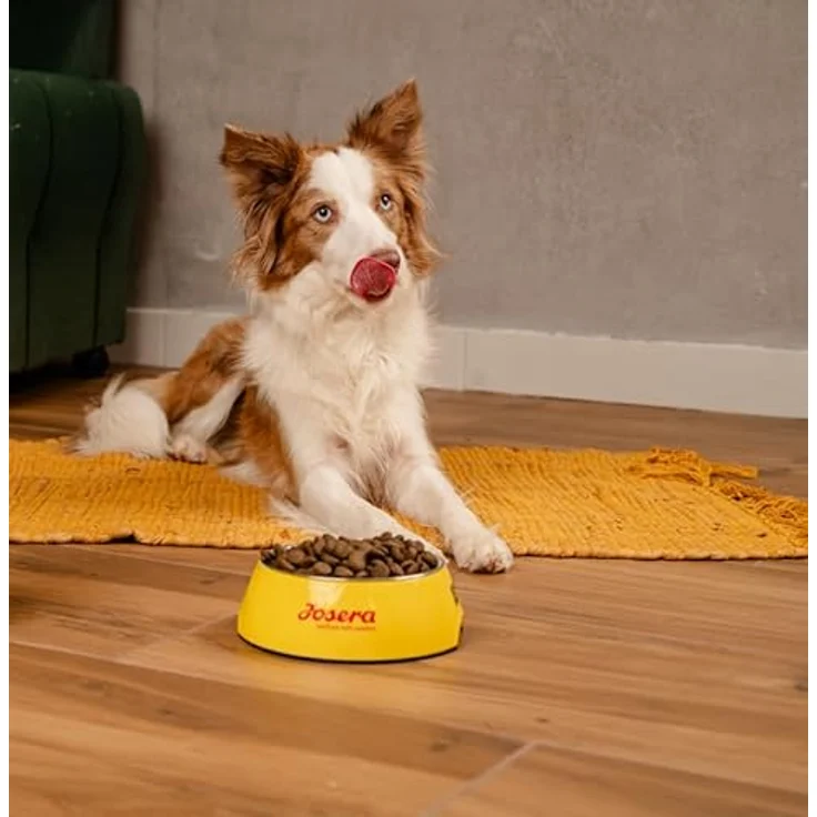 JosiDog Adult Sensitive, Hunde-Trockenfutter mit zartem Geflügel, 900g – Bild 5