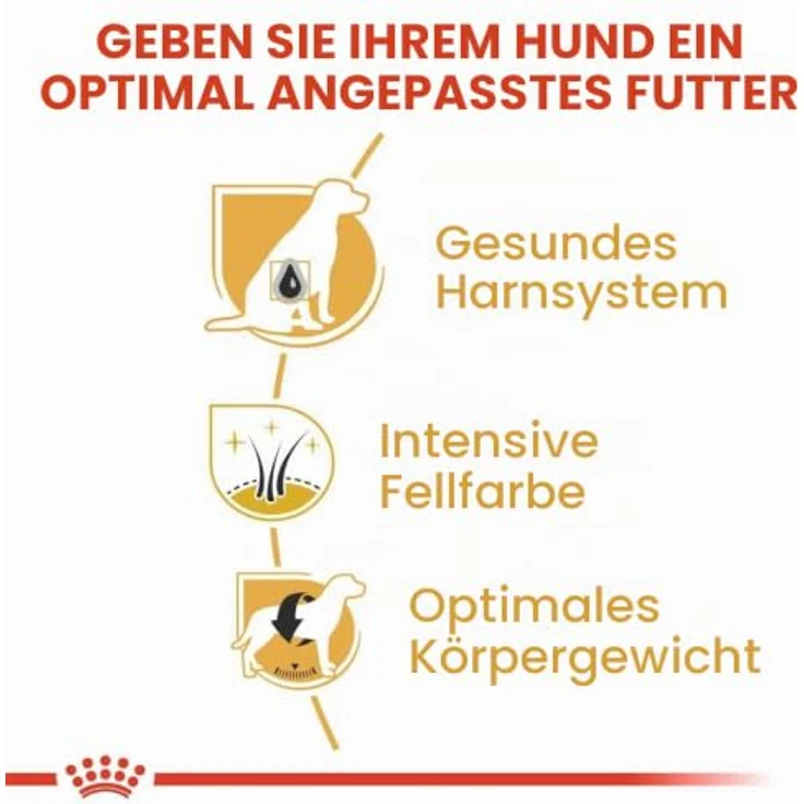 Royal Canin Miniature Schnauzer Adult, Trockenfutter für ausgewachsene Zwergschnauzer, 7,5 kg – Bild 5