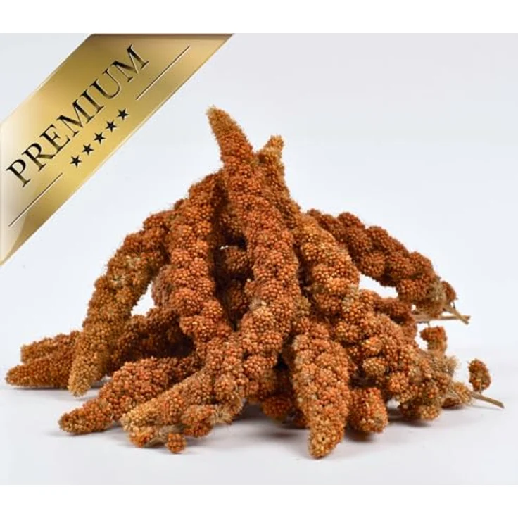 Lyra Pet® Kolbenhirse rot, 2 kg handverlesenes Vogelfutter für Sittiche & Kanarienvögel, natürliche Nährstoffquelle für Zier- und Wildvögel, ideal für das ganze Jahr – Bild 5