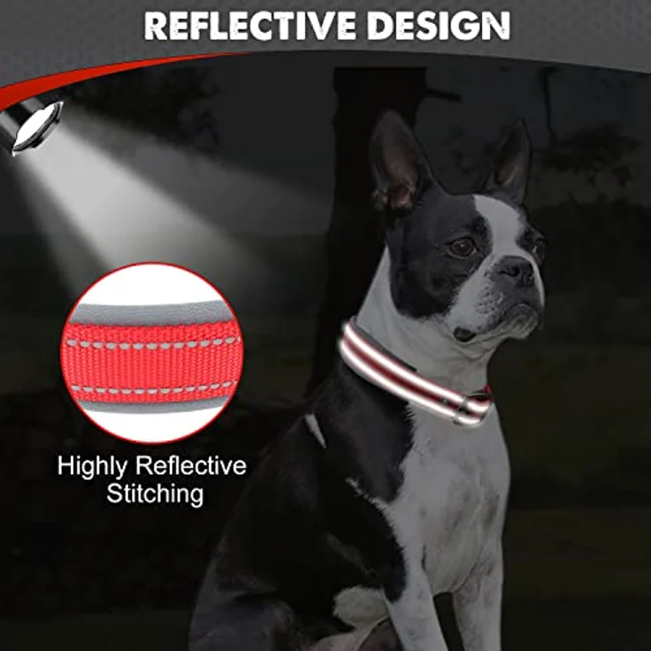 Joytale Hundehalsband, Gepolstertes Neopren-Halsband für Mittelgroße Hunde, Nylon mit Reflektierenden Nähten, Rot – Bild 4