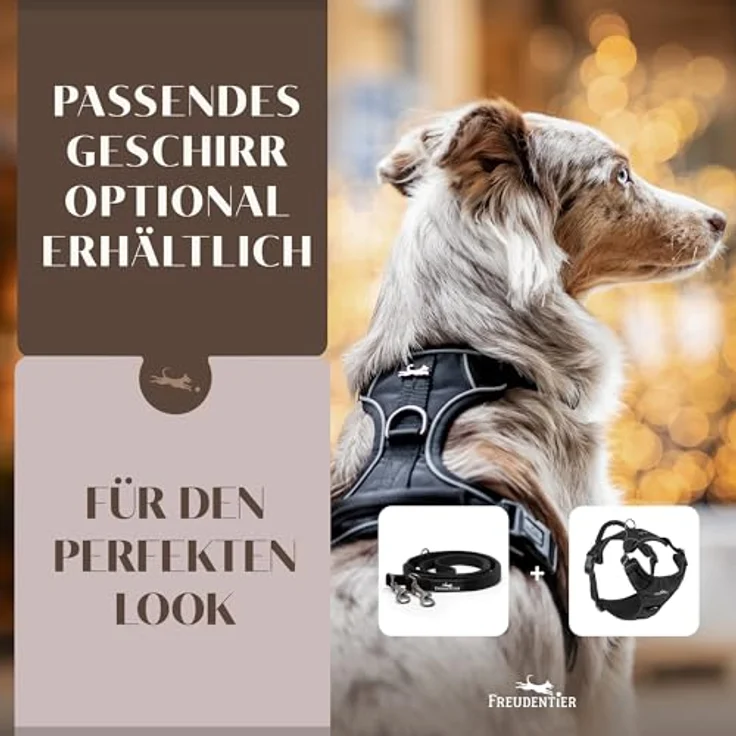 FREUDENTIER Hundeleine 2m Clyde, verstellbare Führleine für mittelgroße & große Hunde, schwarz, weich gepolstert, reflektierend, 25mm breit – Bild 5