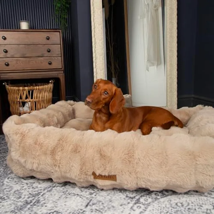 Scruffs Alpine Hundebett Champagne, 90x70 cm, mit weichem Kaninchenfellimitat und tief gepolsterten Wänden