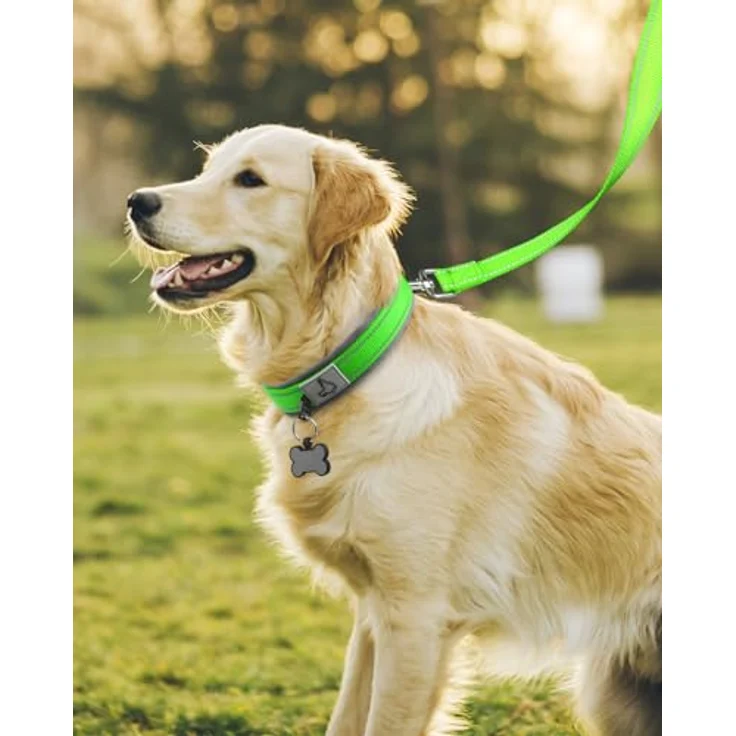Joytale Halsband Hund, Gepolstertes Neopren Halsband für Große Hunde, Nylon Reflektierend, Grün, 48-68 cm – Bild 3