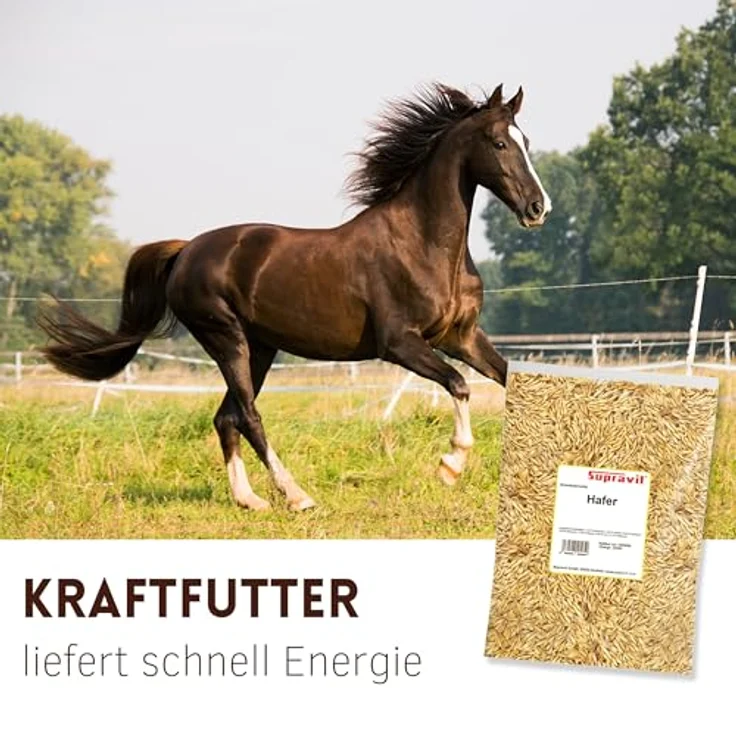 Supravit Hafer ganz 5kg, ungeschält und staubfrei, frischer gelber Futterhafer für Pferd und Pony, natürlicher Energielieferant – Bild 3