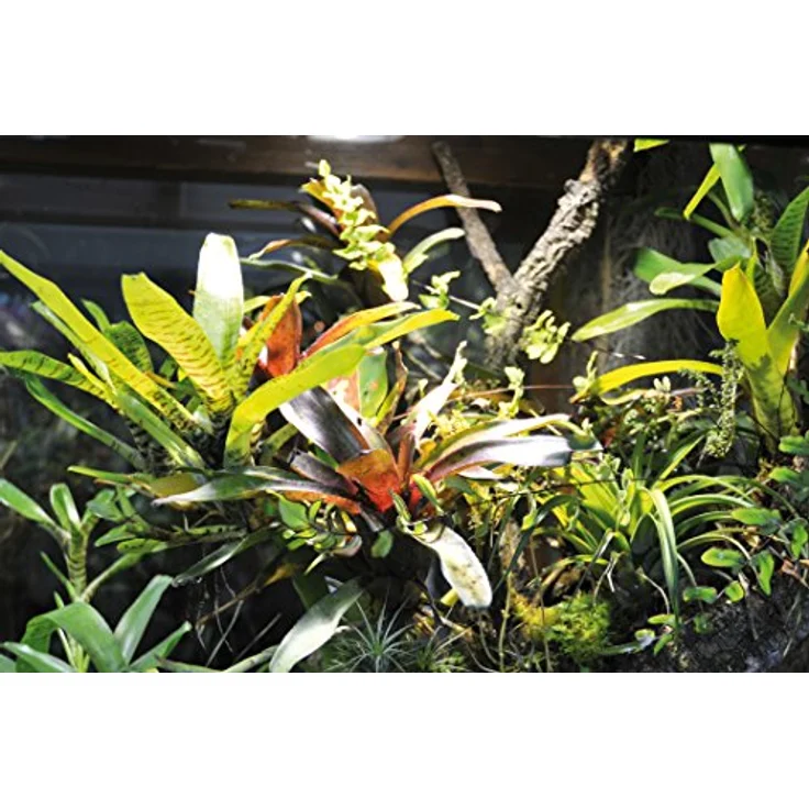 Lucky Reptile Terra Fan Terrarienlüfter-Set, temperaturgesteuertes System mit 2 Mini-Ventilatoren für ideale Luftzirkulation – Bild 4