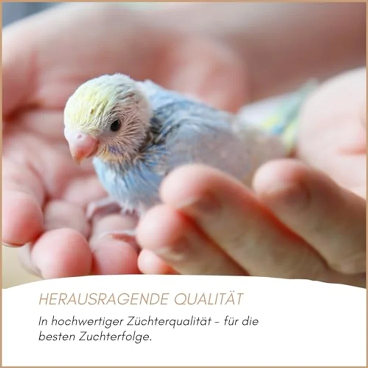 Supravit Vogelgrit 2,5kg – Mineralgrit mit Calcium für Wellensittiche, Papageien, Nymphensittiche, Tauben & Hühner – Verdauungshilfe & Ergänzungsfutter für gesunde Vögel – Bild 5