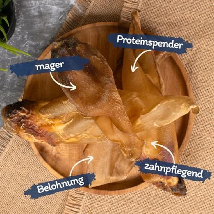 Lyra Pet® 100 getrocknete Rinderohren, naturbelassener Kausnack für Hunde, ca. 5 kg, eiweißreich und zahnreinigend – Bild 2