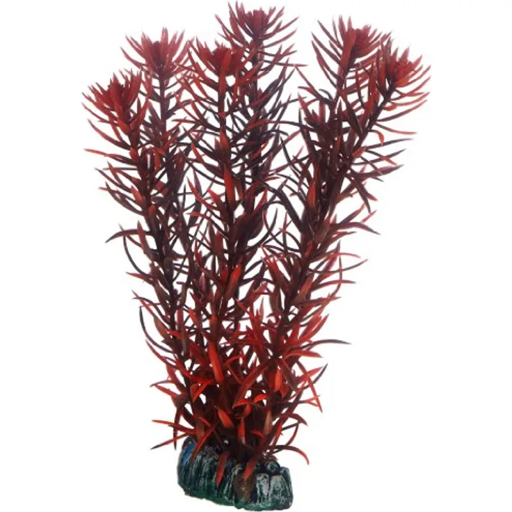 HOBBY Aquariendeko Eusteralis, künstliche 20 cm Aquariumpflanze mit Naturfelsen-Basis für stabilen Halt