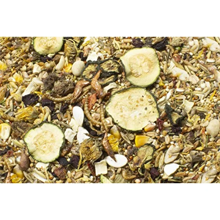 JR Farm Zwerghamster Adult, 500g Alleinfuttermischung mit 35+ Saaten und tierischen Proteinen, unterstützt Darmflora – Bild 2