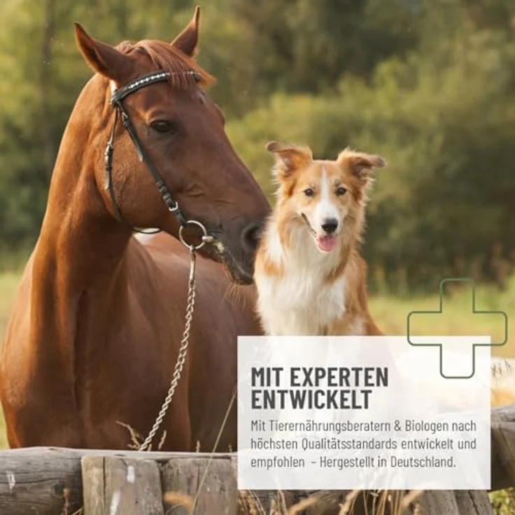 REAVET Indische Flohsamen 1kg, natürliche Futterergänzung zur Unterstützung der Verdauung und Darmfunktion, ballaststoffreich, für Hunde, Katzen & Pferde – Bild 2