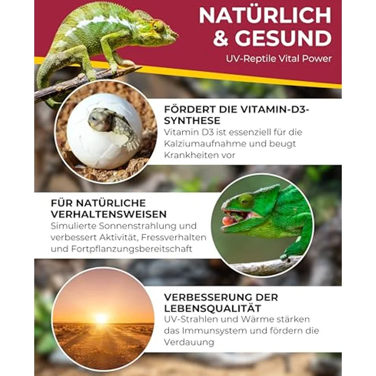 HOBBY Terraristik UV Reptile vital Power, 160 W UV-Lampe für Terrarien, UV-Flächenstrahler mit 250 µW/cm² UVB-Abgabe, langlebig – Bild 3
