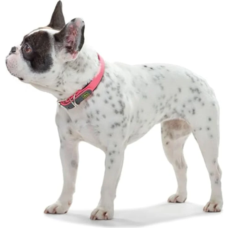 Hunter Hunde-Halsband Convenience Comfort neon-pink S-M – Bild 4