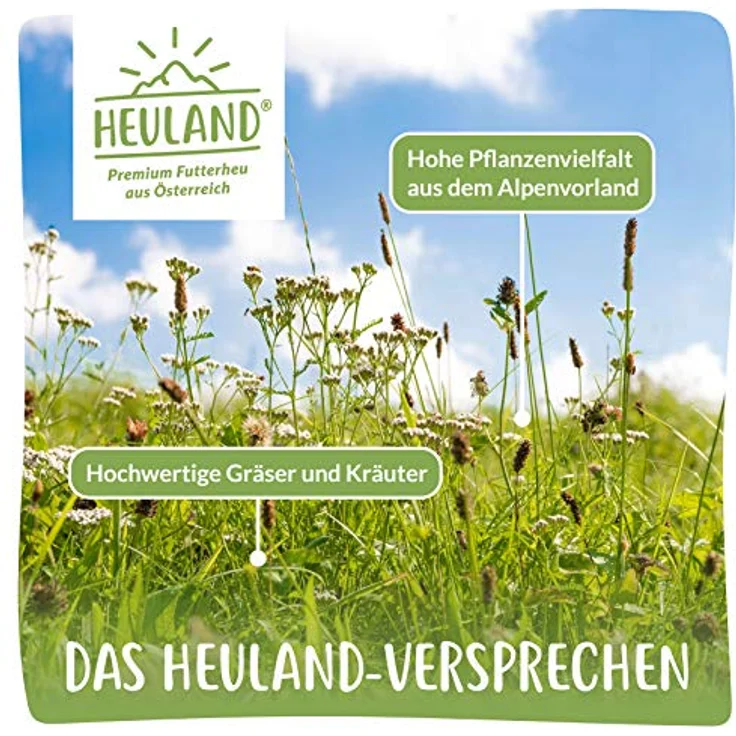 HEULAND® Premium Heu, 4 kg frisches Bergwiesenheu mit wertvollen Kräutern, ideal für Kleintiere wie Kaninchen, Meerschweinchen und Hamster – Bild 4