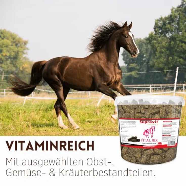 Supravit Vitalmix Pferdeleckerli, 3kg Eimer mit fermentierten Getreideflocken, Karotte, Banane & Ingwer, mit Vitamin E & B-Vitaminen – Bild 3