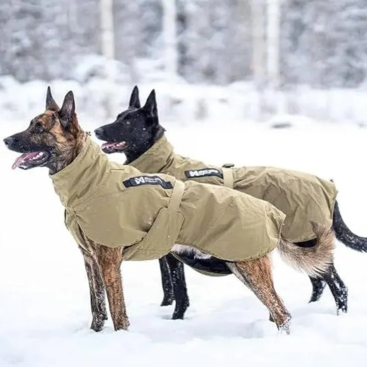 Non-stop dogwear Glacier Dog Jacket Wording Dog Olive (65), Taktische Winterjacke mit Patches – Bild 3