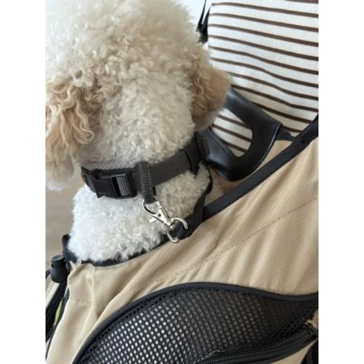 HUNTER Rucksack/Tragetasche Kangaroo, für kleine Hunde bis 6 kg, beige, L 30 x B 20 x H 30 cm, waschbar, mit Nylongurt und gepolsterten Schulterriemen – Bild 5