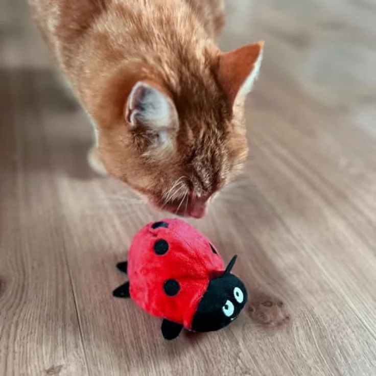 Aumüller Katzenspielkissen Marienkäfer Dotty, hochwertiges Spielzeug für Katzen mit ansprechendem Design – Bild 4