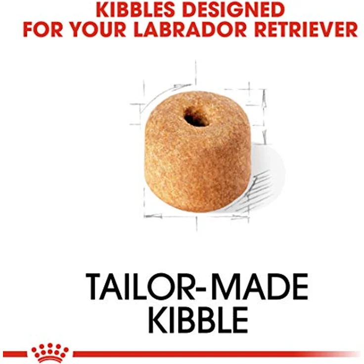 Royal Canin Labrador Retriever 12 kg, Trockenfutter für Hunde mit Geflügelmehl und Reis – Bild 4