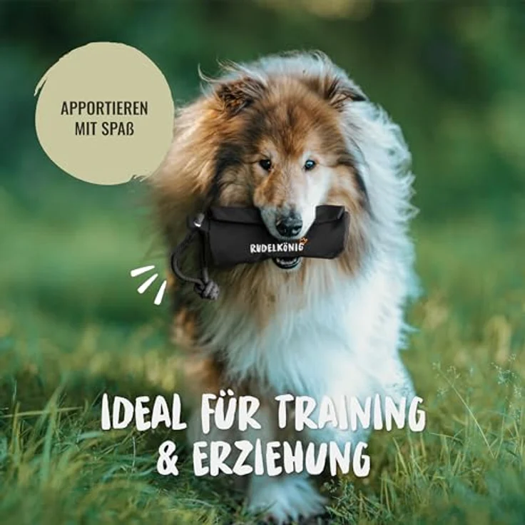 Rudelkönig Futterbeutel, Snackbeutel für Hundetraining mit Reißverschluss, schwarz – ideal für Rückruftraining und Apportieren – Bild 2