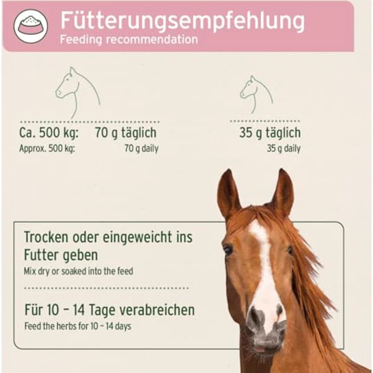 AniForte Bronchial Kräuter, 1 kg zur Unterstützung der Atemwege für Pferde, frei von Zusatzstoffen – Bild 6