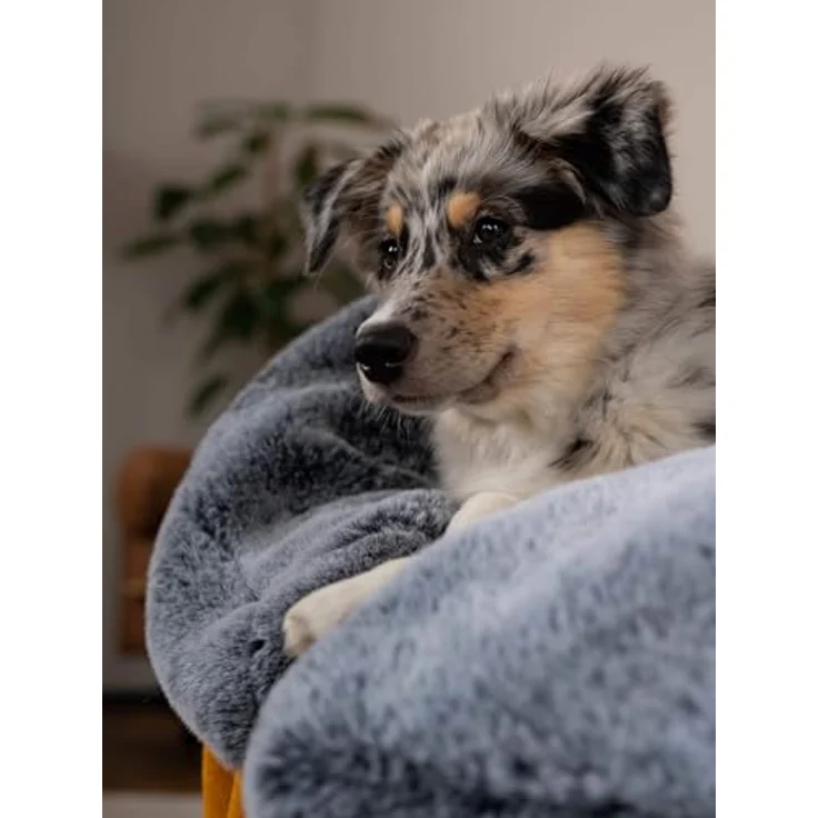 TrendPet Yuma Felldecke, Kuschelige Premium Hundedecke aus OEKO-TEX-zertifiziertem Kunstfell, Waschmaschinengeeignet, 90 x 65 cm für Hunde und Katzen – Bild 4