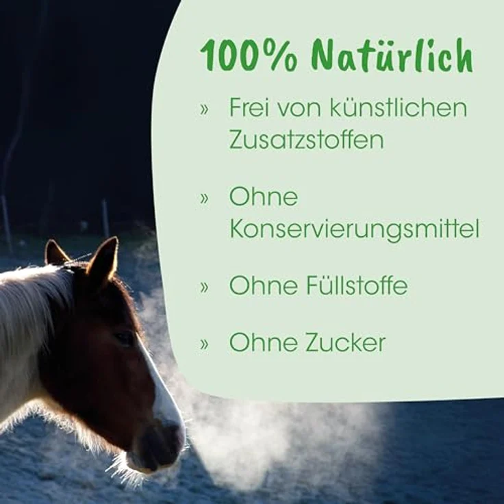 cdVet HustaVet AtemMix, Ergänzungsfuttermittel für atemwegsempfindliche Pferde, 700 ml mit Bronchialkräutern – Bild 6