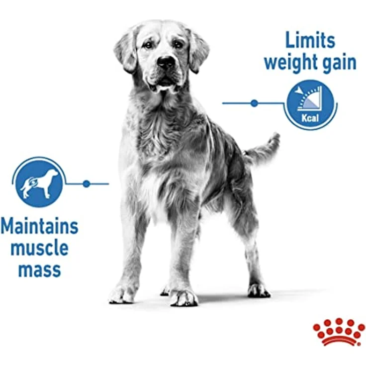 ROYAL CANIN Light Weight Care Medium, Hundefutter für mittelgroße Hunde zur Gewichtskontrolle, 12 kg – Bild 8