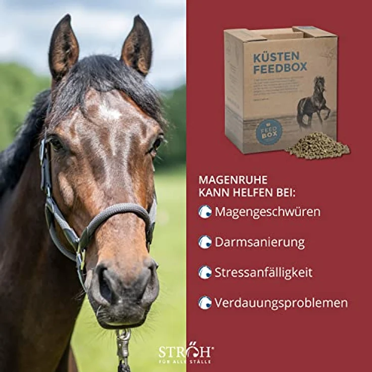 STRÖH Magenruhe Pferd, 12kg Feedbox für Magen, Darm & Verdauung, Mineralfutter mit Bierhefe, Sanddorn & Vanille – Bild 3