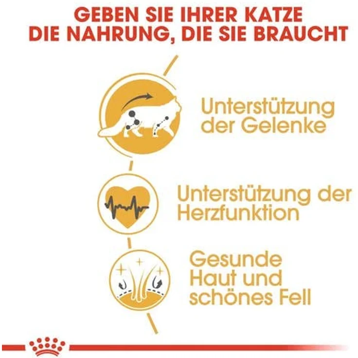 ROYAL CANIN Maine Coon Adult Trockenfutter für Katzen, 3er Pack, 3 x 400 g, zur Unterstützung von Gelenken und Knochen, angepasst an die Bedürfnisse von Maine Coon Katzen – Bild 5