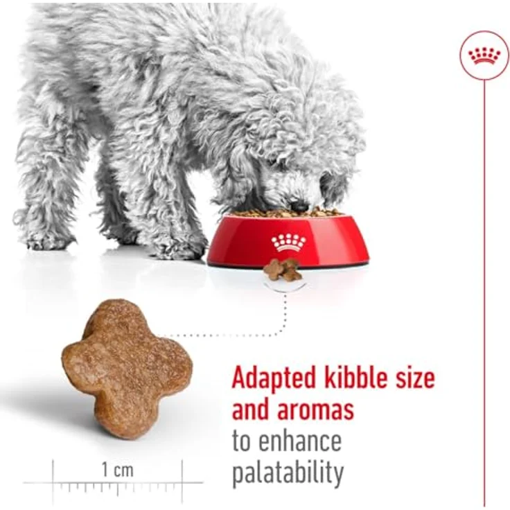 Royal Canin Mini Adult 8+, Trockenfutter für kleine Hunde (bis 10 kg) ab 8 Jahren, 4 kg, mit Antioxidantienkomplex und L-Carnitin zur Unterstützung der Vitalität – Bild 5