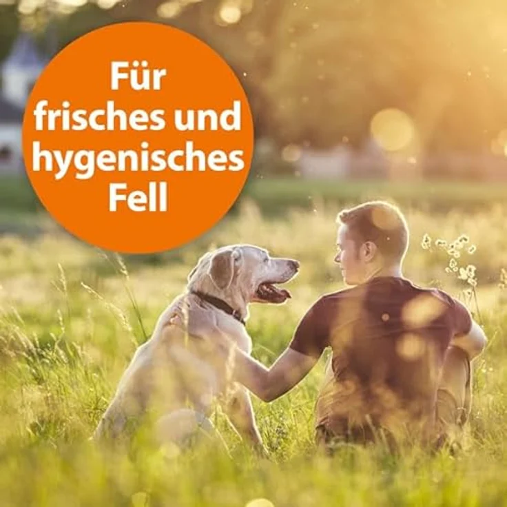 ARDAP Anti Floh Shampoo für Hunde 250ml, 2-in-1 Flohschutz & Fellpflege mit Teebaum Öl, nachhaltige Anwendung, PT19 – Bild 4