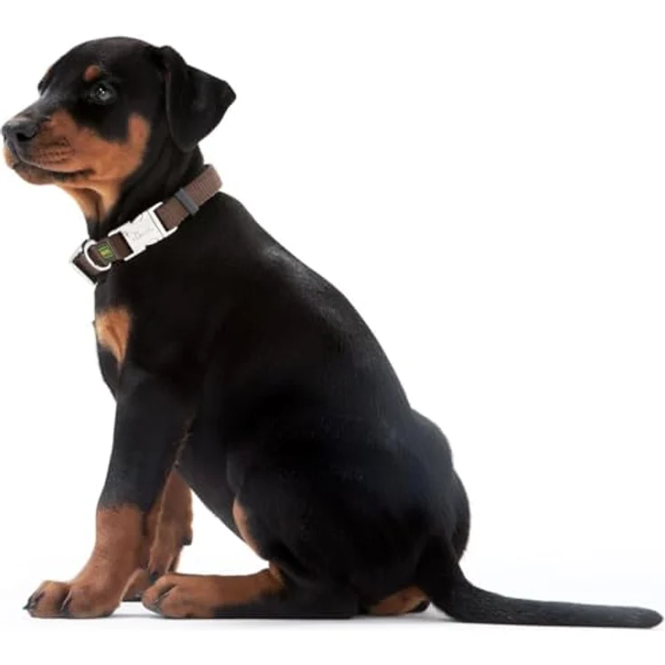 Hunter Hunde-Halsung Vario Basic Alu-Strong grau M – Bild 3