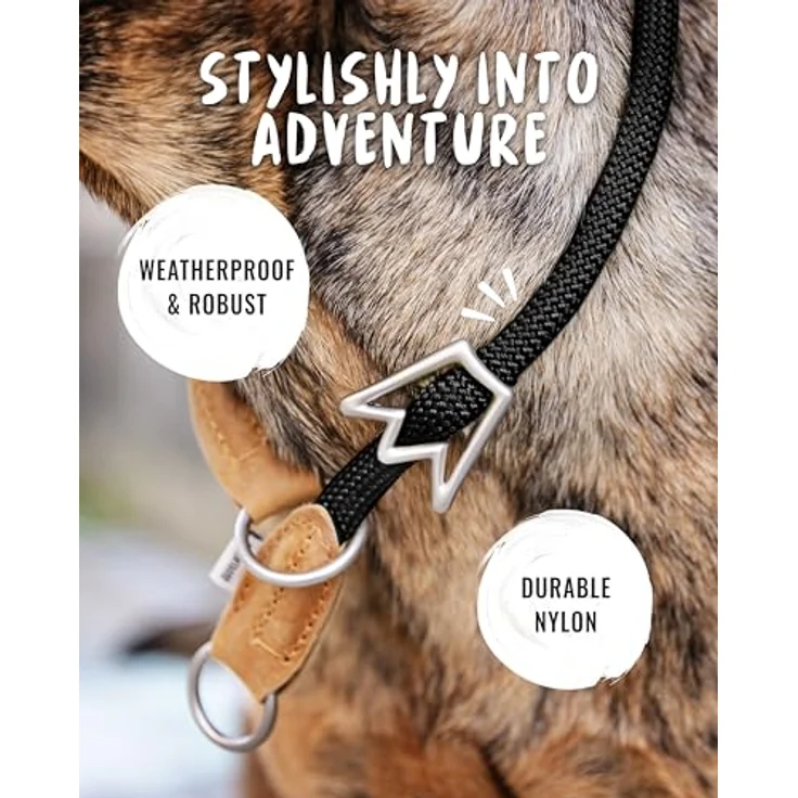 Rudelkönig Hundehalsband Emma, Zugstopp-Halsband aus Leder und Nylon, ø 12mm, für mittelgroße Hunde, schwarz, witterungsfest und pflegeleicht – Bild 4