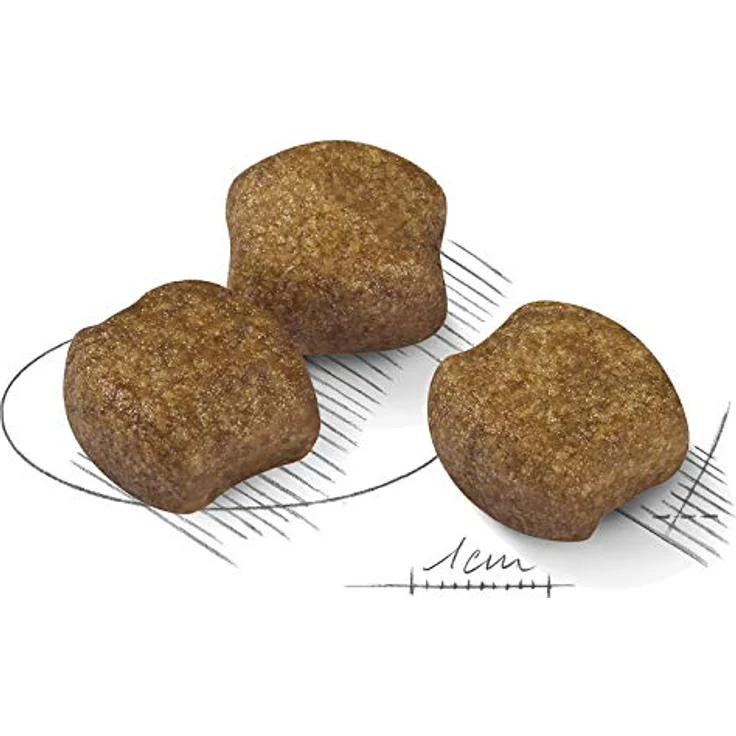 ROYAL CANIN Medium Dental Care, Hunde-Trockenfutter zur Zahnreinigung, 10 kg – Bild 3