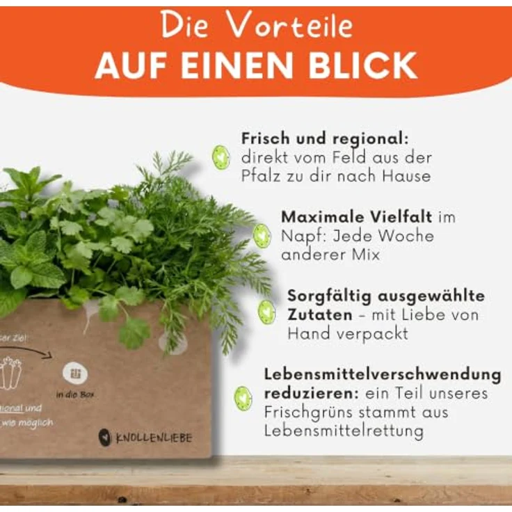 Knollenliebe Mümmel-Mix Kleintierbox 5 kg - Frische Kräutermischung für Kaninchen und Meerschweinchen, artgerecht – Bild 3