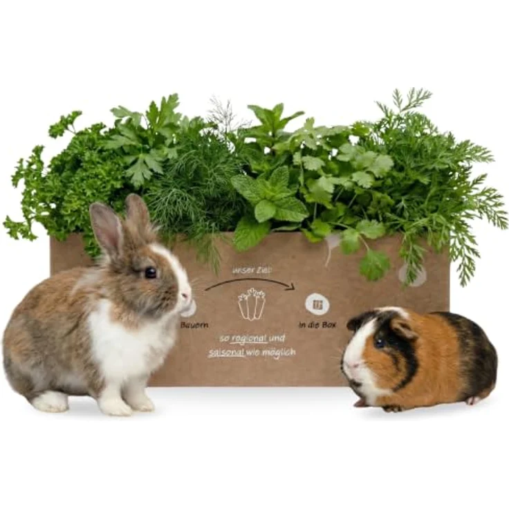 Knollenliebe Mümmel-Mix Kleintierbox 5 kg - Frische Kräutermischung für Kaninchen und Meerschweinchen, artgerecht – Bild 1
