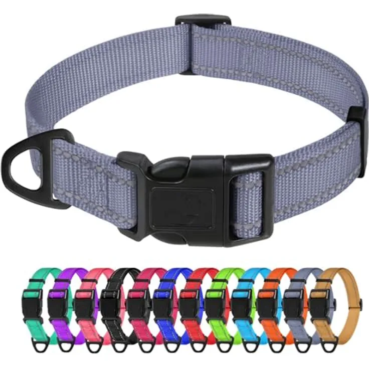 TagME Nylon Hundehalsband, Verstellbares Reflektierendes Hundehalsband mit Sicherheits-Schnalle für große Hunde, Grau, 2.5 cm Breite